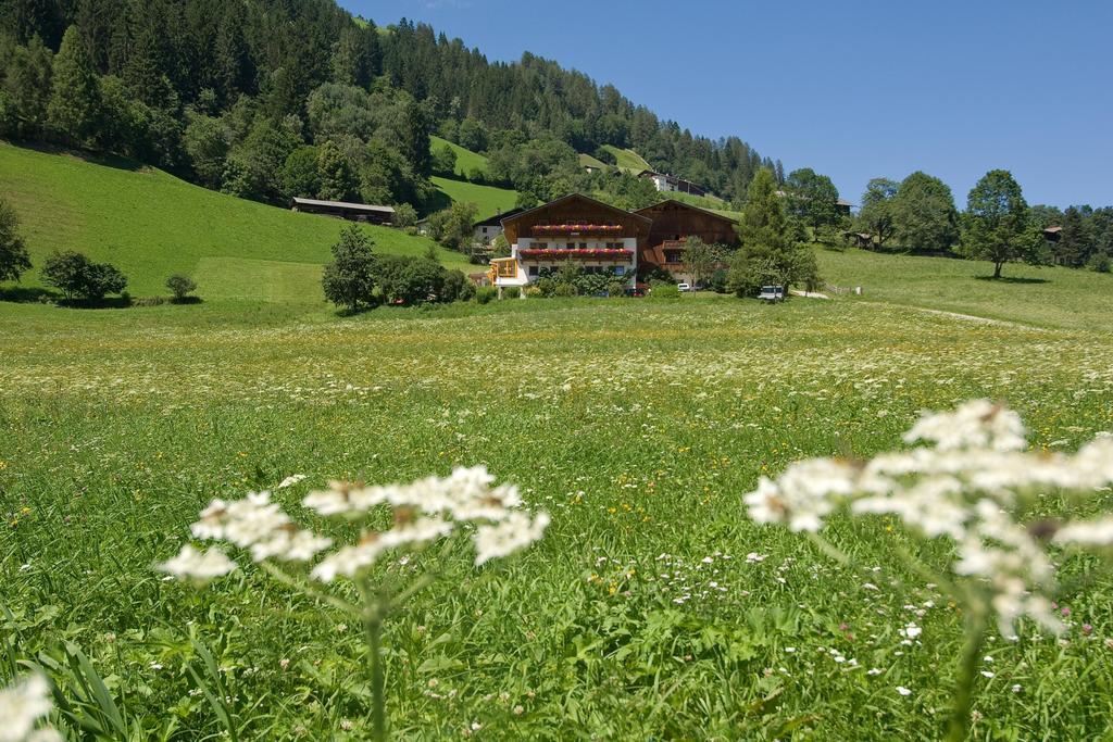 Отель Ladestatthof Нойштифт-им-Штубайталь Экстерьер фото